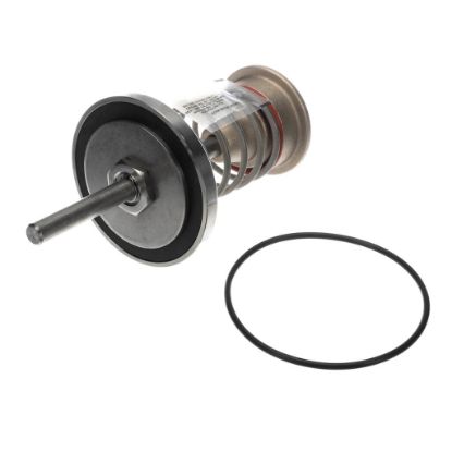 Picture of Watts 794097 4 In Backflow Repair Kit, Lead Free, Ser