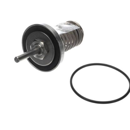 Picture of Watts 794096 2 1/2 To 3 In Watts Backflow Repair Kit,