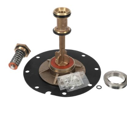 Picture of Watts 887267 Relief Valve Total Repair Parts Kit For