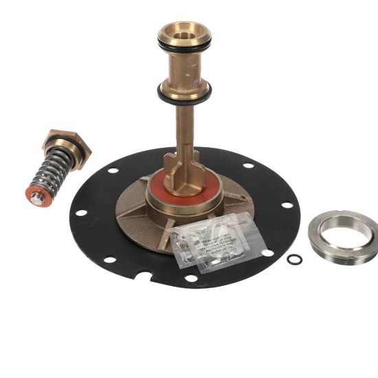 Picture of Watts 887267 Relief Valve Total Repair Parts Kit For