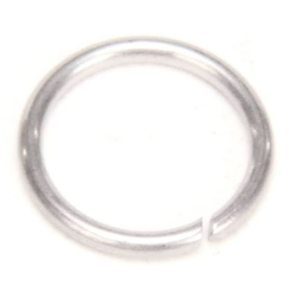 Picture of Wells 2B-37946 Ring Thermo Space .310