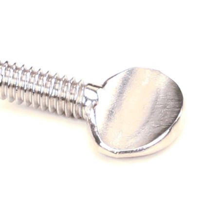 Picture of Wells 2C-35907 Screw 1/4 20X5/8 Ss Thumb