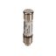 Picture of Wells 2E-38782 Fuse(ktk) 2Amp