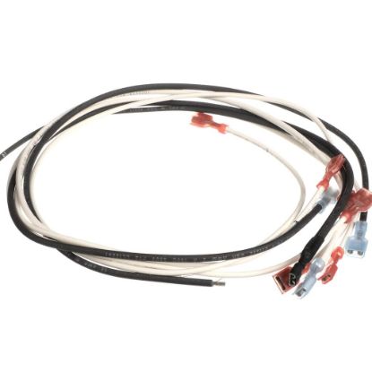 Picture of Wells 2E-Z22156 Wire Kit -Bwb