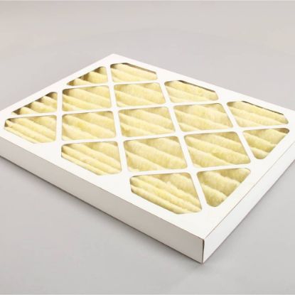 Picture of Wells 2I-302579 Prefilter