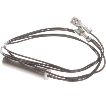 Picture of Wells 2J-306681 Probe Temp Bwb-1s