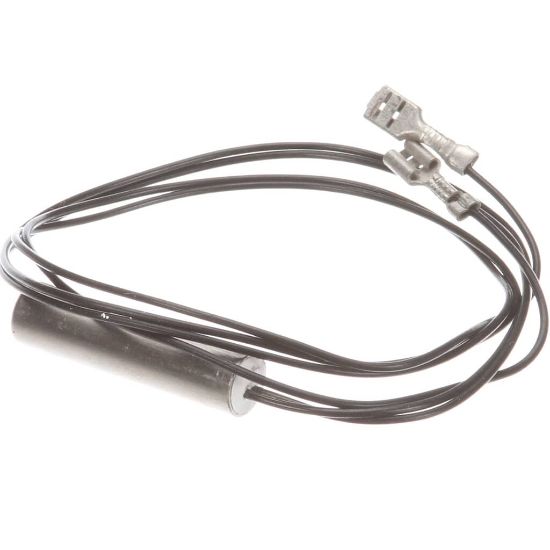 Picture of Wells 2J-306681 Probe Temp Bwb-1s