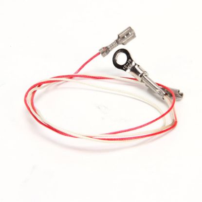 Picture of Wells 2J-307279 Probe Temp Wb-series