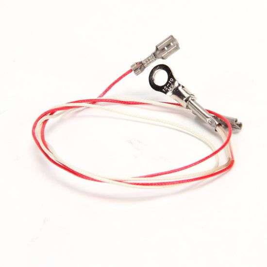 Picture of Wells 2J-307279 Probe Temp Wb-series