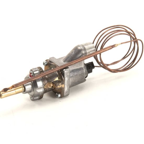 Picture of Wells 2T-Z13362 Thermostat