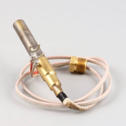 Picture of Wells 2T-42195 Thermopile Fgs-40