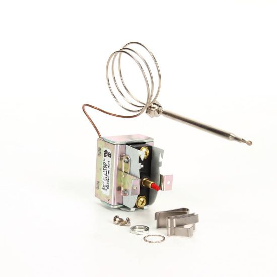Picture of Wells WS-58656 Hi-limit Man Reset 440 Deg. F