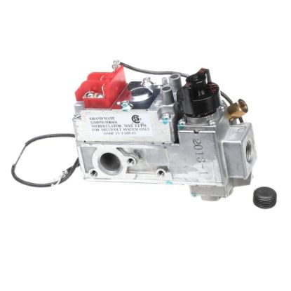 Picture of Wells WS-WL1000 Vlv, Gas Wg Ser Grid Grandmate