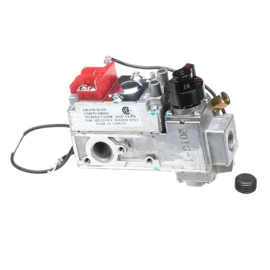 Picture of Wells WS-WL1000 Vlv, Gas Wg Ser Grid Grandmate