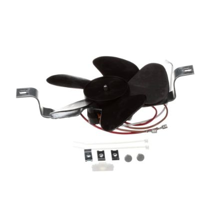 Picture of Whirlpool W10910693 Motor-fan