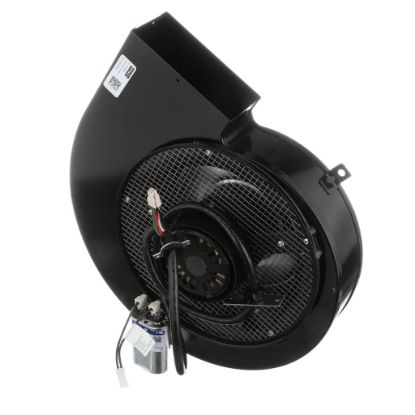 Picture of Whirlpool W10921431 Motor-blwr