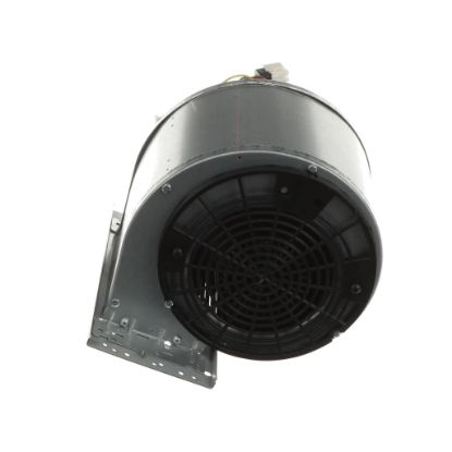 Picture of Whirlpool WPW10291602 Motor-fan