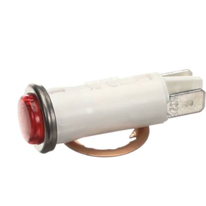 Picture of Curtis WC-203 Light, Indicator Brew 220V