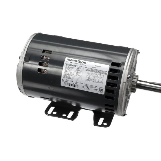 Picture of York S1-02436165000 Blower Motor,2,1725,208-230/46
