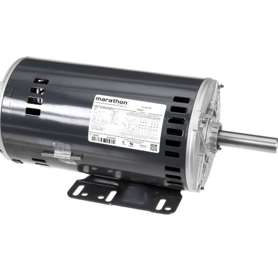 Picture of York S1-02436167000 Blower Motor,3,1725,208-230/46