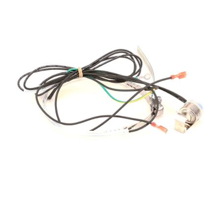 Picture of York S1-02547272000 Heater,cc,240v (W/temp Switch)