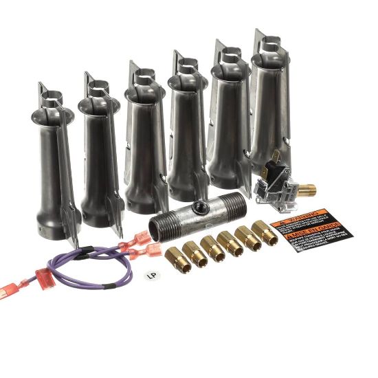 Picture of York S1-1NP0820 Conversion Kit,ng To Lp,w/ss B