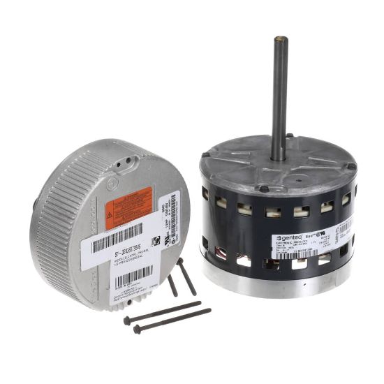 Picture of York S1-32436073546 Blower Motor,programmable,1/2