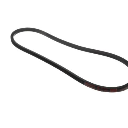 Picture of York S1-B46 Drive Belt,b46/5l490,multi