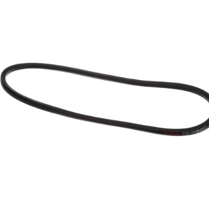 Picture of York S1-B47 Drive Belt,b47/5l500,multi