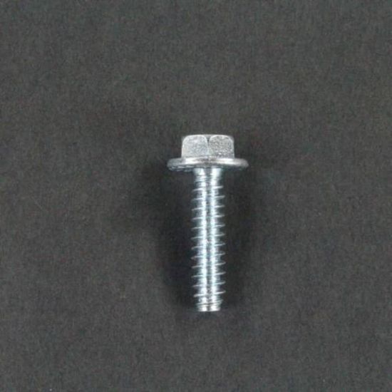Picture of LG 1SZZFA4362C Customized Screw
