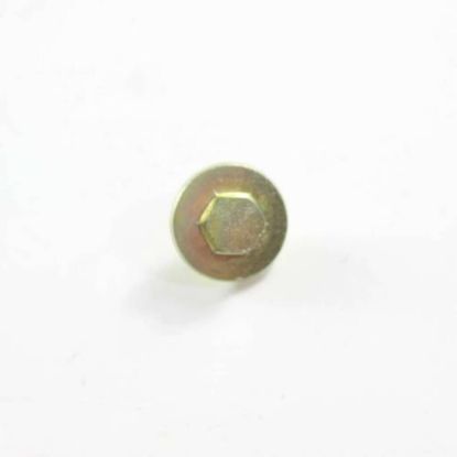 Picture of LG 1SZZEL3001A Customized Screw