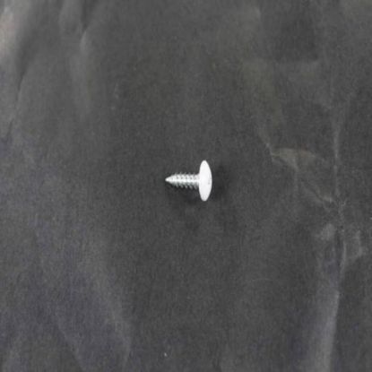 Picture of LG 3J05696W Customized Screw